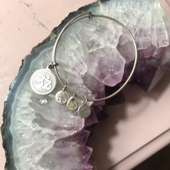 Alex and Ani Jewelry - Focus item-Alex & Ani Energy Bracelet